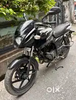 Bajaj Pulsar 150 – Great Condition!