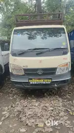 TATA ACE GOLD