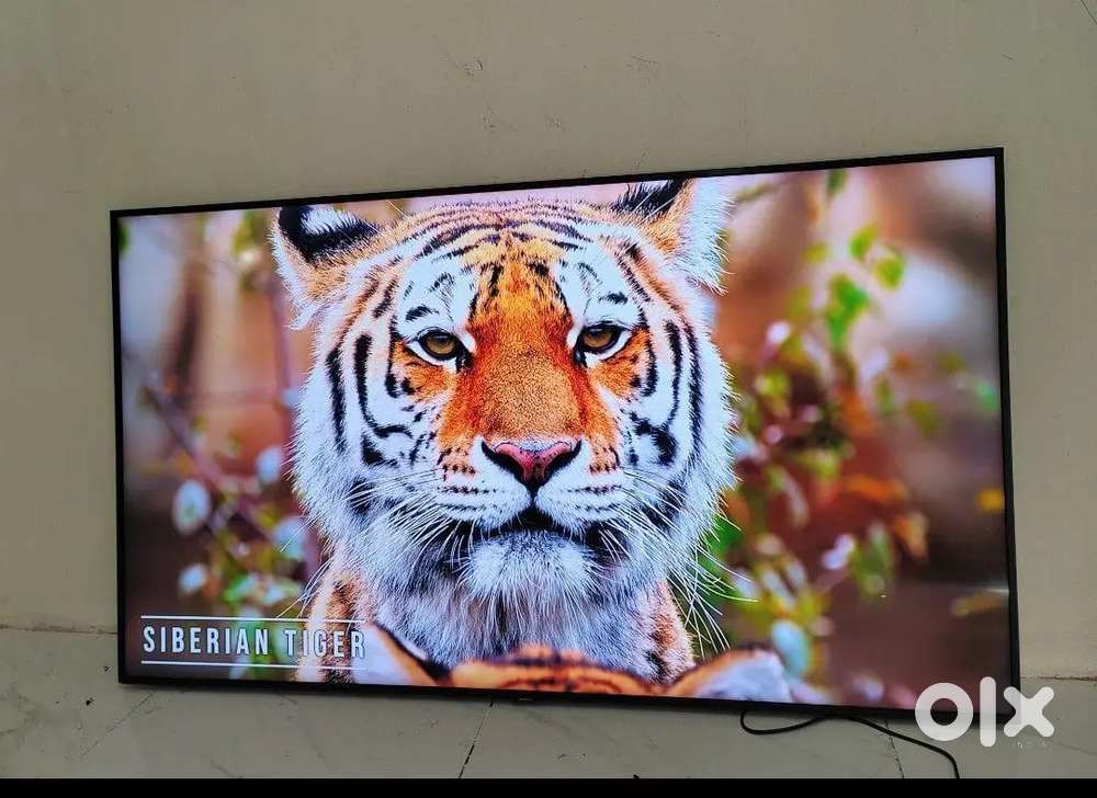 Offer New Box pck 50inch 55 40 42 43inch 32 24 Android Led tv
