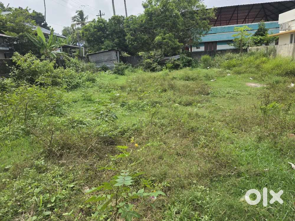 7.5 cent house plot Kundara Punnamukku, 300 Meter from Junction.