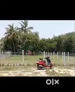 Land for sales