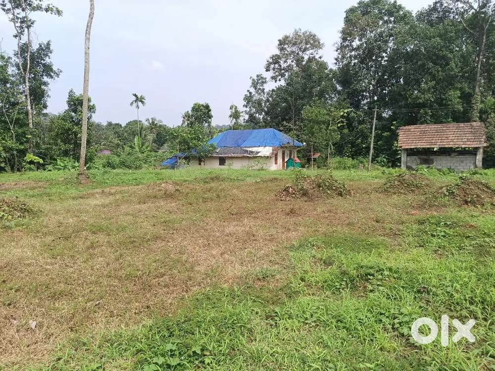 Koothattukullam town 10 cent houseplot  in prime area 2.5 lak per cent