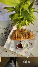 Need all rounder cook