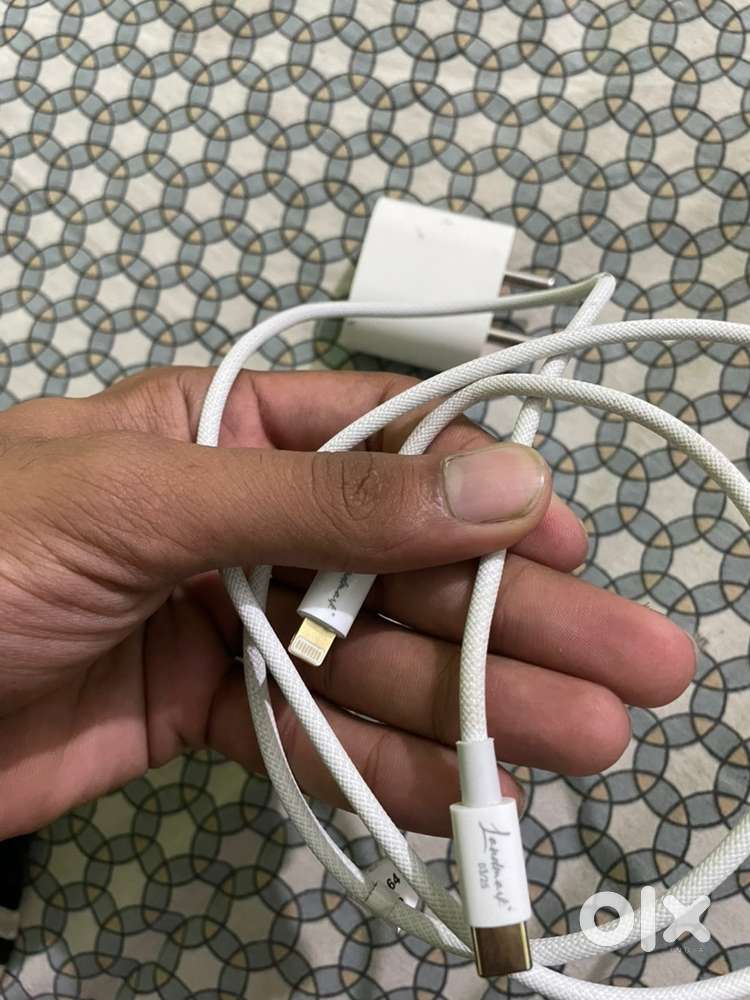 20w original landmark charger