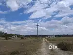 Investment land In Othakkalmandapam