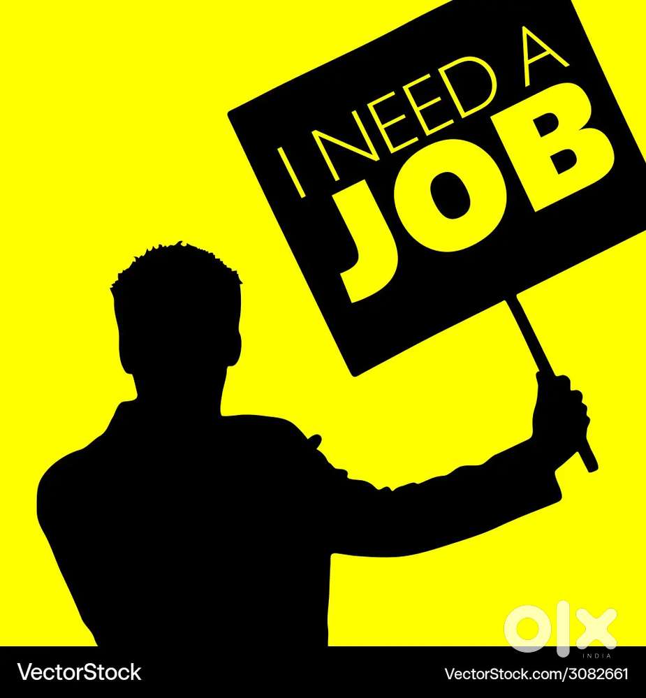 I need a job