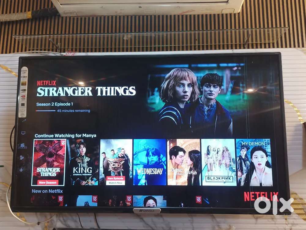 Sansui 49 LED TV (Old Model) — Working, Vertical Line on Screen