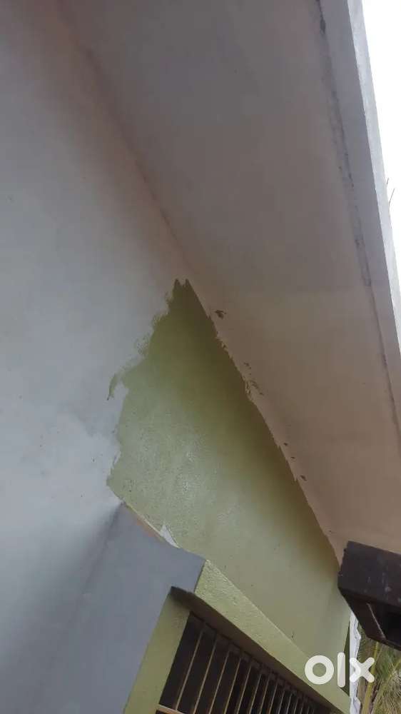 Wood polish and housepainting  work doning at lowest price s