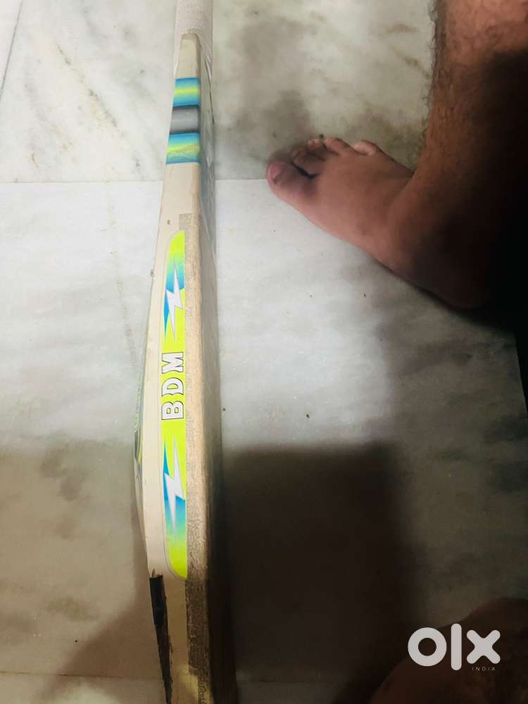 BDM english willow bat