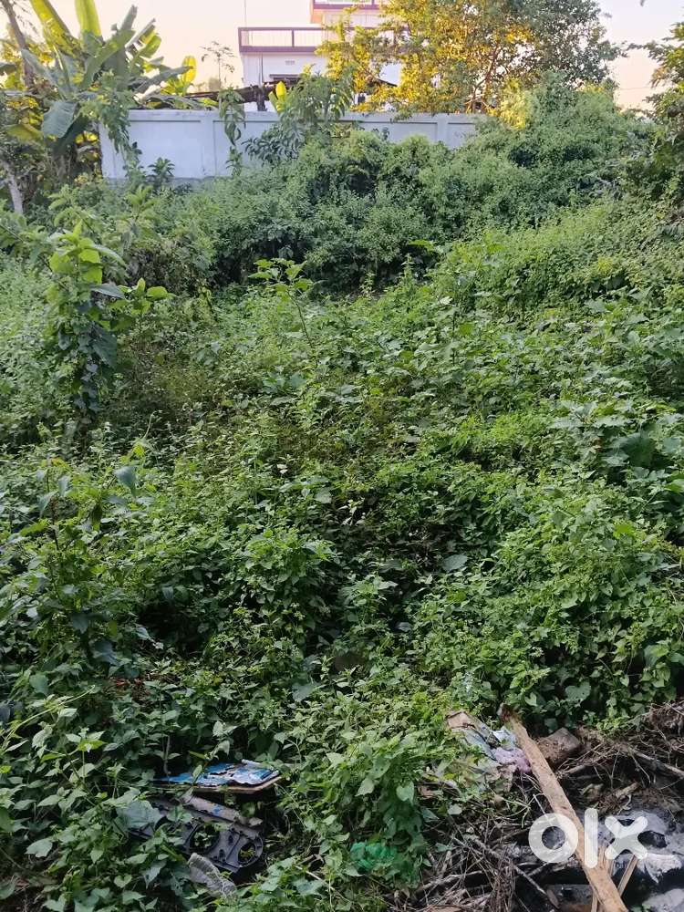 2.5 গন্ডা জায়গা বিক্রি করা হবে সূর্য মানি নগর সূত্রধর পড়া