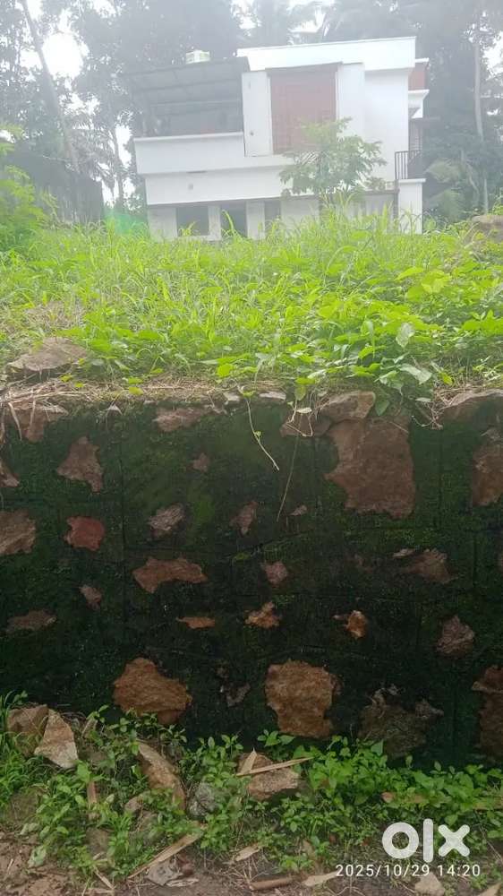 Malaparamb nr iqra 6.5 cnt house plot for sale