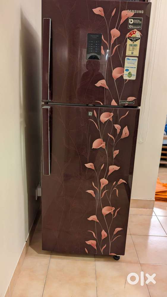 Samsung 253L Frost Free Double Door Refrigerator