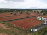 DTCP APPROVED AND LAND FOR SALE