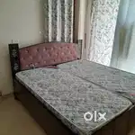 One room set fully furnished without kitchan