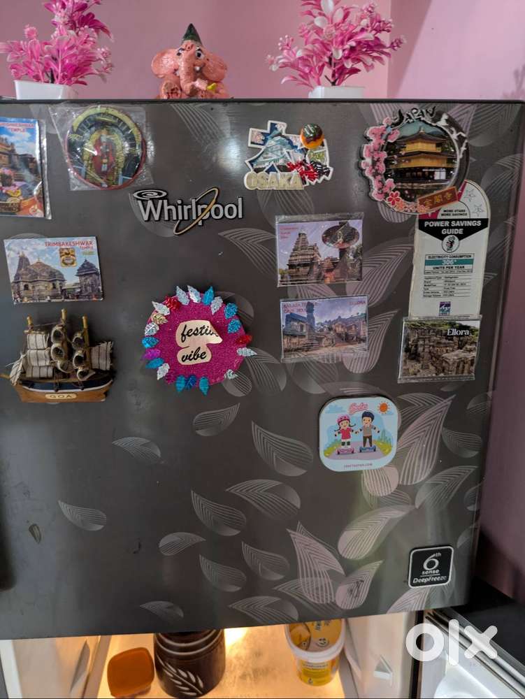 242 liters whirlpool Double Door Refrigerator