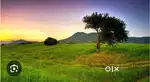 Land for sale 18 cents in Ambalpady Udupi for 6.25 lakhs per cents