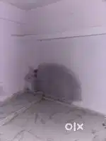 Home for rent