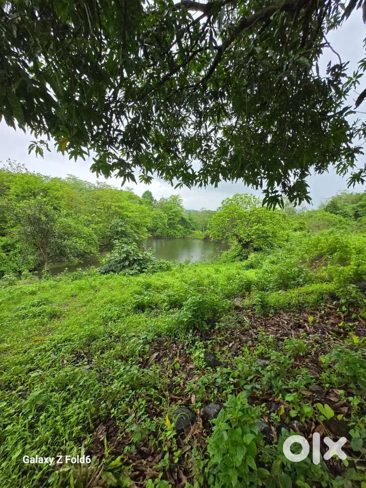 Urgent sell in karjat