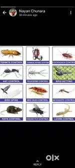 Pest control