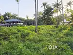 8Cent Purayidam Land Thathappilly Main Road Frontage Varapuzha