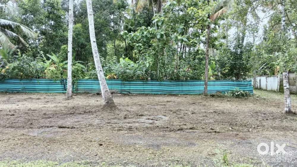 Plot for sale