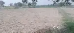 Bechna hai