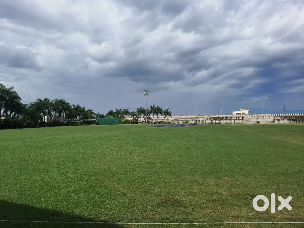 Need a professional cook