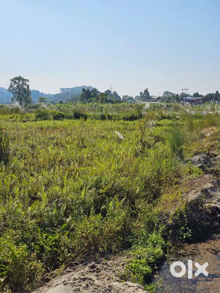 Land for sale Miyadi plot in Chandrapur Hajongbari
