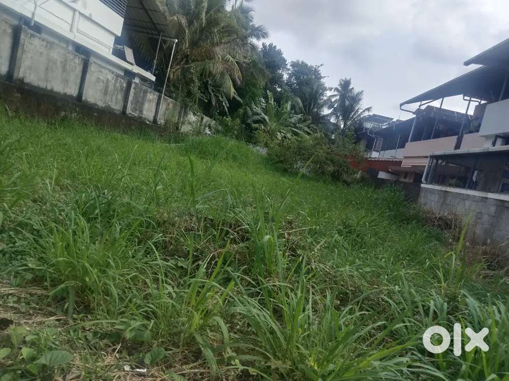 Thrissur mannuthy indiranagar 7.800 cent plot for sale
