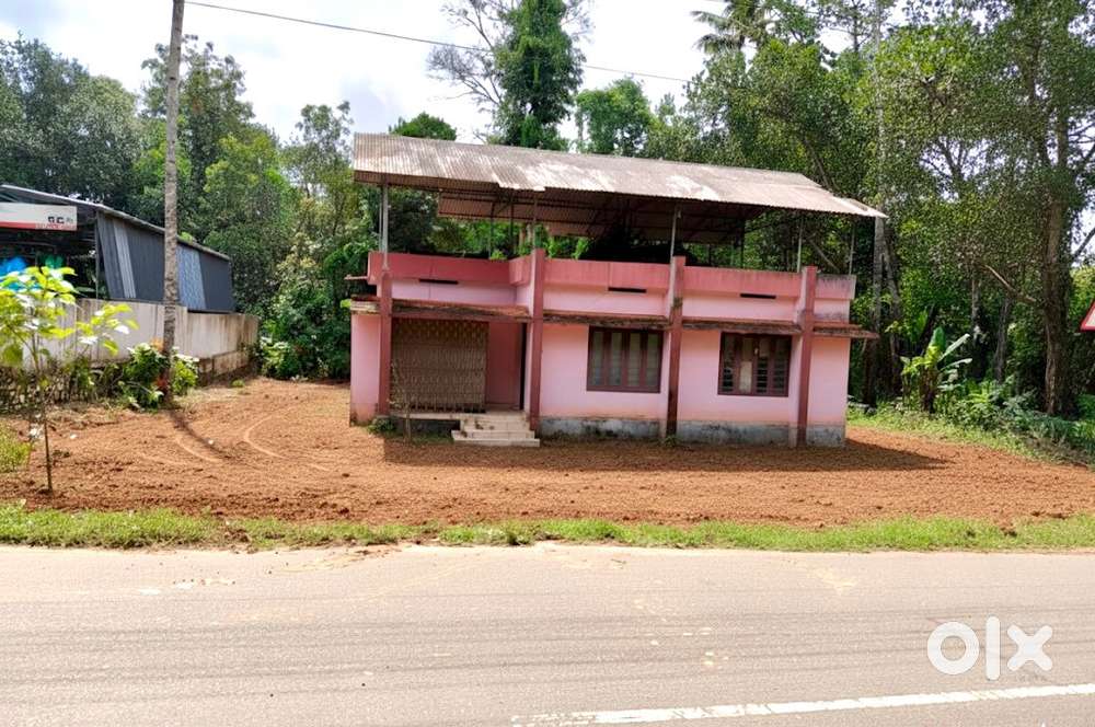 28 cent roadside plot for sale