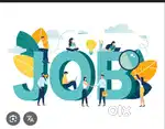 Jobs for freshers