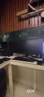 Ryzen 5 5600 with gtx 1660ti gamming editing