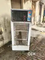 Brand- Summer Cooler