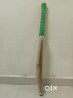 SS TON English Willow cricket bat