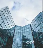 Part time marketing executive