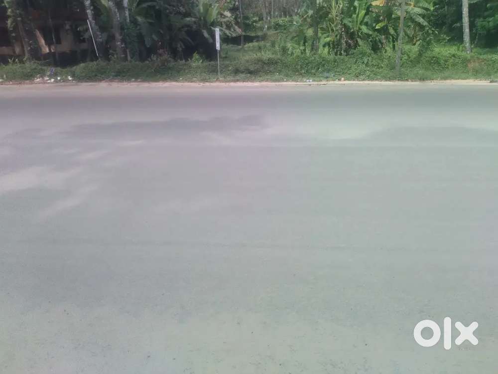 തൊടുപുഴ ടൗൺ ബസ്റുറ്റ് ഫ്രാടായേജ്