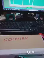 Courier Service, Lady staff