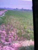 7knaal near tnuli and sahri dugri agriculcter land