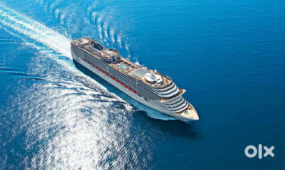 Cruise Liner jobs