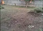 440 sqyds land for sale Neridmett Secunderabadi sale n develop