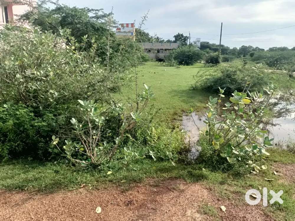 25 ankanam plot for sale