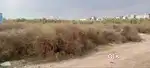 Land for sale at Rani Khera extension