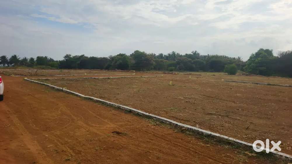 2.49 lakhs per cent low budget DTCP plots sale in Kinathukadavu near