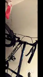 Hippo mountain bike