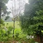 KIZHAKKAMBALAM THAMARACHAL 10/12 CENT PROPERTY NEAR RANIMATHA SCHOOL