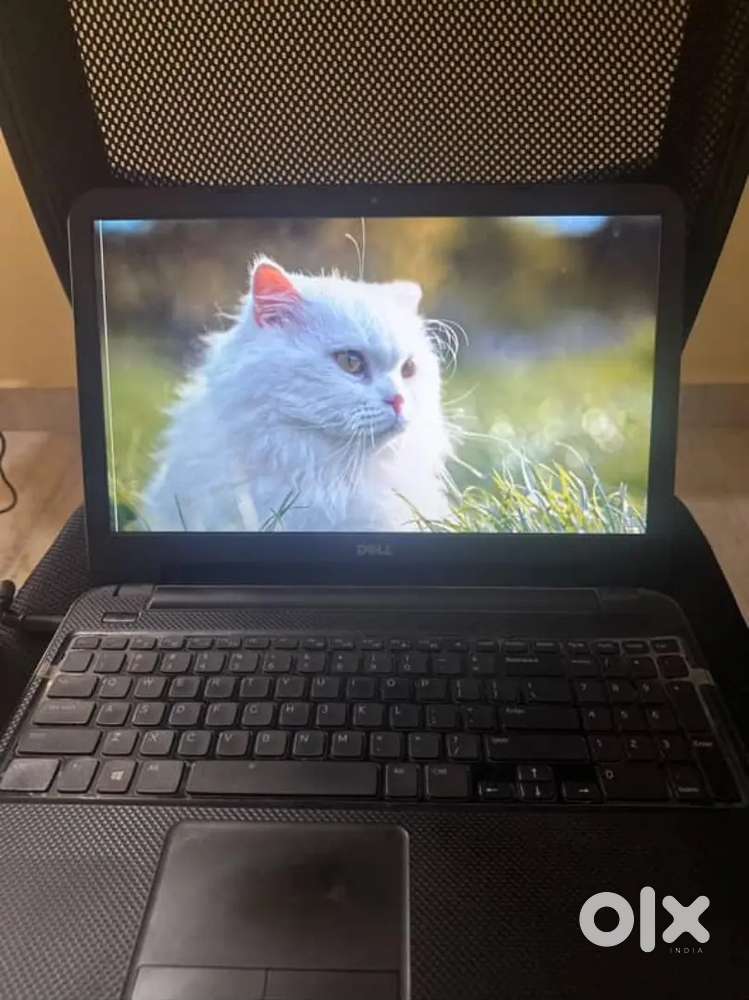 Dell Inspiron Laptop 4gb - 500gb