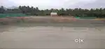 Fish farm fish culture