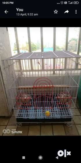 Bird cage made up of heavy iron rod with steel bowls and other accessories in  very new condition.