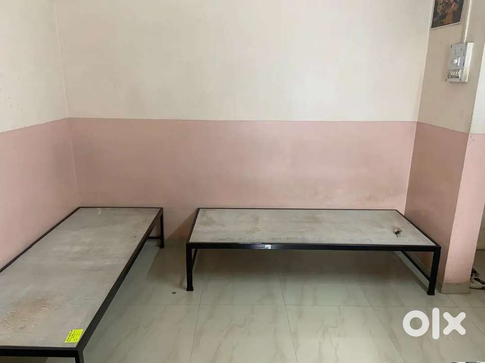 Female Roommates Needed