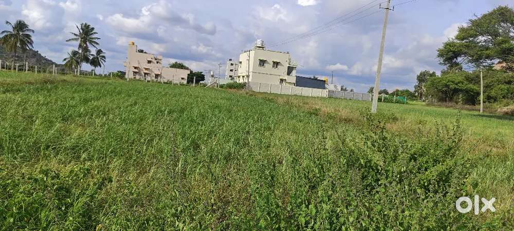 Half acre land for sale in Avati village near Devanahalli